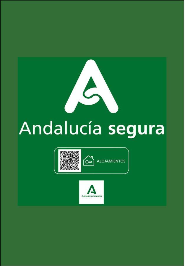 Holidays2Malaga Junto Catedral Apartment Luaran gambar